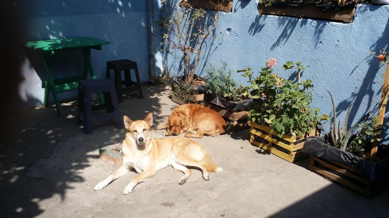 Casa Encuentro Hotel Quetzaltenango Luaran gambar